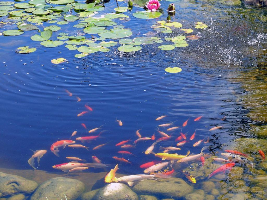Hotel Restaurant Les Jardins D'Épône المظهر الخارجي الصورة